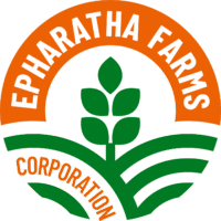 empfrms logo